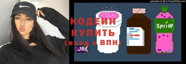 дурь Алексин
