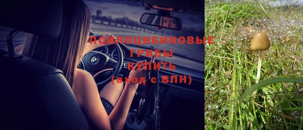 молекула духа Алексеевка