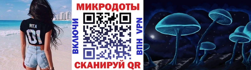 купить наркотики цена  Чадан  Псилоцибиновые грибы Cubensis 